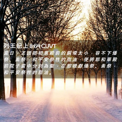 Picture 02 - 列 王 紀 上 8:64 CUVT - 當 日 ， 王 因 耶 和 華 殿 前 的 銅 - Bible Verse Picture