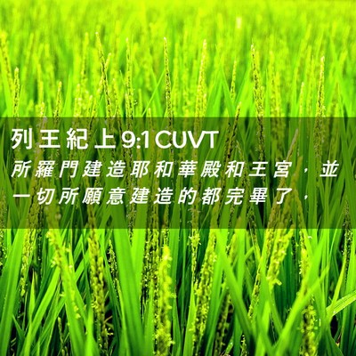 Picture 02 - 列 王 紀 上 9:1 CUVT - 所 羅 門 建 造 耶 和 華 殿 和 王 宮 - Bible Verse Picture