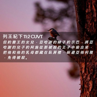 Picture 02 - 列 王 紀 下 11:2 CUVT - 但 約 蘭 王 的 女 兒 ， 亞 哈 謝 的 - Bible Verse Picture