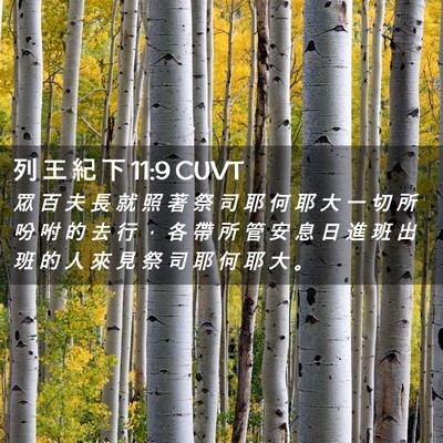 Picture 02 - 列 王 紀 下 11:9 CUVT - 眾 百 夫 長 就 照 著 祭 司 耶 何 耶 - Bible Verse Picture