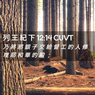 Picture 02 - 列 王 紀 下 12:14 CUVT - 乃 將 那 銀 子 交 給 督 工 的 人 修 - Bible Verse Picture