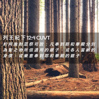 Picture 02 - 列 王 紀 下 12:4 CUVT - 約 阿 施 對 眾 祭 司 說 ： 凡 奉 到 - Bible Verse Picture