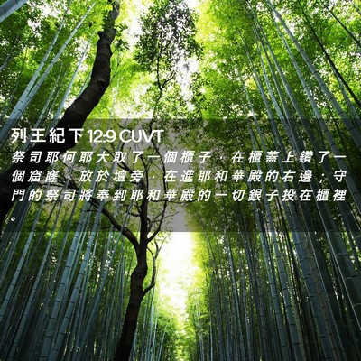 Picture 02 - 列 王 紀 下 12:9 CUVT - 祭 司 耶 何 耶 大 取 了 一 個 櫃 子 - Bible Verse Picture