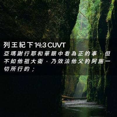 Picture 02 - 列 王 紀 下 14:3 CUVT - 亞 瑪 謝 行 耶 和 華 眼 中 看 為 正 - Bible Verse Picture
