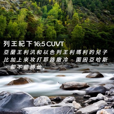 Picture 02 - 列 王 紀 下 16:5 CUVT - 亞 蘭 王 利 汛 和 以 色 列 王 利 瑪 - Bible Verse Picture