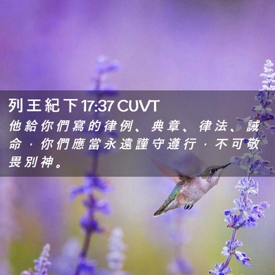 Picture 02 - 列 王 紀 下 17:37 CUVT - 他 給 你 們 寫 的 律 例 、 典 章 、 - Bible Verse Picture