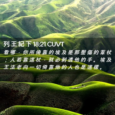 Picture 02 - 列 王 紀 下 18:21 CUVT - 看 哪 ， 你 所 倚 靠 的 埃 及 是 那 - Bible Verse Picture
