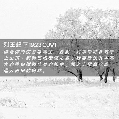 Picture 02 - 列 王 紀 下 19:23 CUVT - 你 藉 你 的 使 者 辱 罵 主 ， 並 說 - Bible Verse Picture