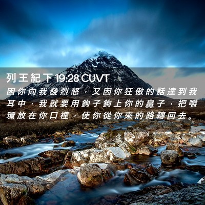 Picture 02 - 列 王 紀 下 19:28 CUVT - 因 你 向 我 發 烈 怒 ， 又 因 你 狂 - Bible Verse Picture