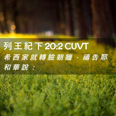 Picture 02 - 列 王 紀 下 20:2 CUVT - 希 西 家 就 轉 臉 朝 牆 ， 禱 告 耶 - Bible Verse Picture