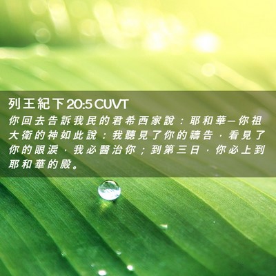 Picture 02 - 列 王 紀 下 20:5 CUVT - 你 回 去 告 訴 我 民 的 君 希 西 家 - Bible Verse Picture