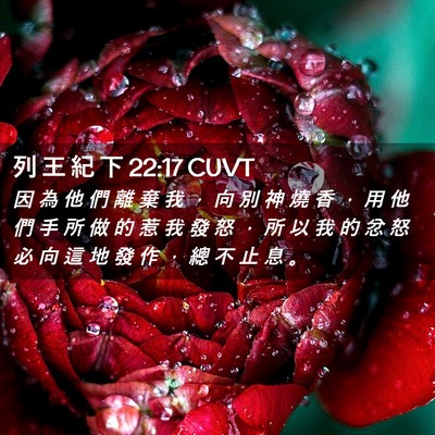 Picture 02 - 列 王 紀 下 22:17 CUVT - 因 為 他 們 離 棄 我 ， 向 別 神 燒 - Bible Verse Picture