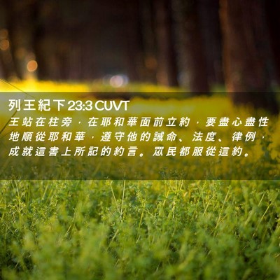 Picture 02 - 列 王 紀 下 23:3 CUVT - 王 站 在 柱 旁 ， 在 耶 和 華 面 前 - Bible Verse Picture