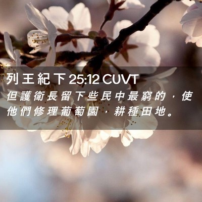 Picture 02 - 列 王 紀 下 25:12 CUVT - 但 護 衛 長 留 下 些 民 中 最 窮 的 - Bible Verse Picture
