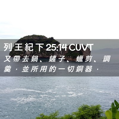 Picture 02 - 列 王 紀 下 25:14 CUVT - 又 帶 去 鍋 、 鏟 子 、 蠟 剪 、 調 - Bible Verse Picture
