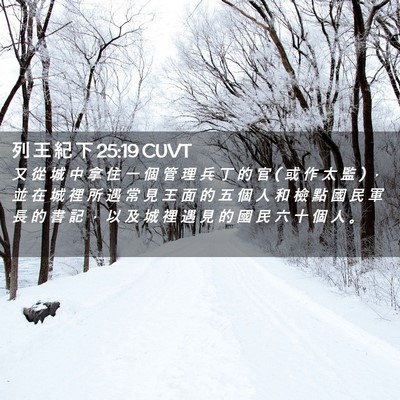 Picture 02 - 列 王 紀 下 25:19 CUVT - 又 從 城 中 拿 住 一 個 管 理 兵 丁 - Bible Verse Picture