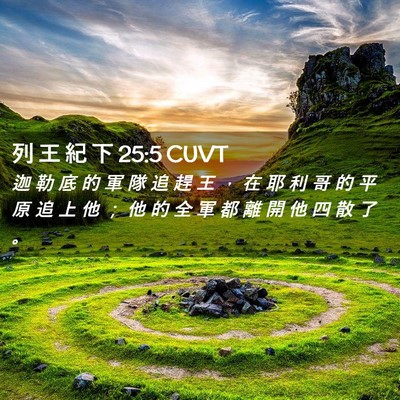 Picture 02 - 列 王 紀 下 25:5 CUVT - 迦 勒 底 的 軍 隊 追 趕 王 ， 在 耶 - Bible Verse Picture