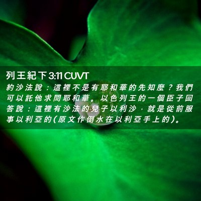 Picture 02 - 列 王 紀 下 3:11 CUVT - 約 沙 法 說 ： 這 裡 不 是 有 耶 和 - Bible Verse Picture