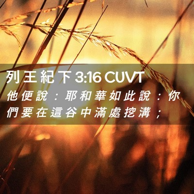Picture 02 - 列 王 紀 下 3:16 CUVT - 他 便 說 ： 耶 和 華 如 此 說 ： 你 - Bible Verse Picture