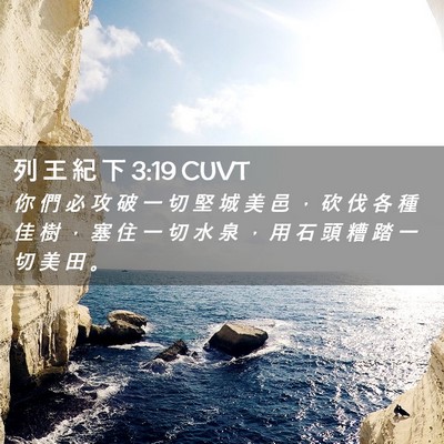Picture 02 - 列 王 紀 下 3:19 CUVT - 你 們 必 攻 破 一 切 堅 城 美 邑 ， - Bible Verse Picture