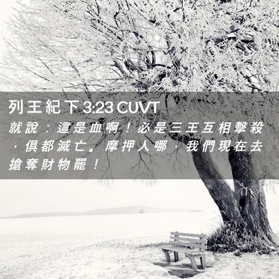 Picture 02 - 列 王 紀 下 3:23 CUVT - 就 說 ： 這 是 血 啊 ！ 必 是 三 王 - Bible Verse Picture