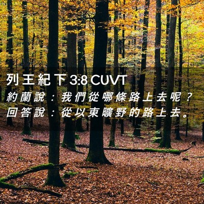 Picture 02 - 列 王 紀 下 3:8 CUVT - 約 蘭 說 ： 我 們 從 哪 條 路 上 去 - Bible Verse Picture