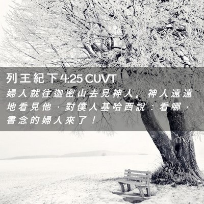 Picture 02 - 列 王 紀 下 4:25 CUVT - 婦 人 就 往 迦 密 山 去 見 神 人 。 - Bible Verse Picture