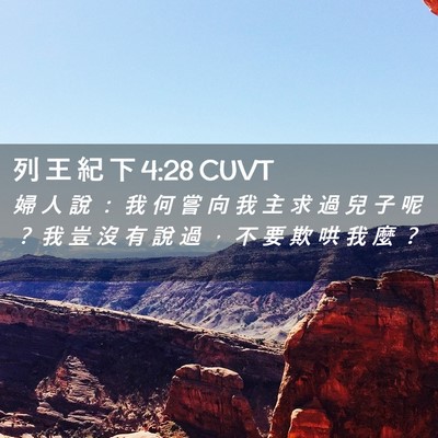 Picture 02 - 列 王 紀 下 4:28 CUVT - 婦 人 說 ： 我 何 嘗 向 我 主 求 過 - Bible Verse Picture