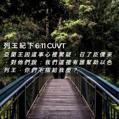 Picture 02 - 列 王 紀 下 6:11 CUVT - 亞 蘭 王 因 這 事 心 裡 驚 疑 ， 召 - Bible Verse Picture