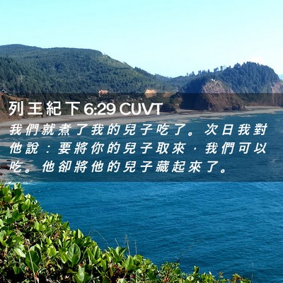 Picture 02 - 列 王 紀 下 6:29 CUVT - 我 們 就 煮 了 我 的 兒 子 吃 了 。 - Bible Verse Picture