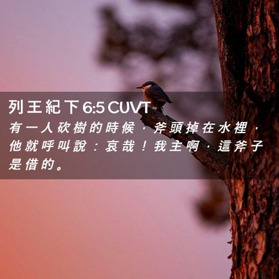 Picture 02 - 列 王 紀 下 6:5 CUVT - 有 一 人 砍 樹 的 時 候 ， 斧 頭 掉 - Bible Verse Picture