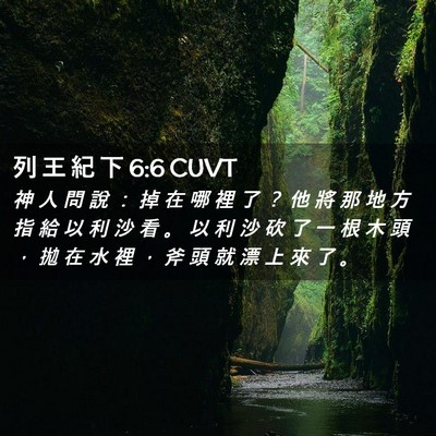 Picture 02 - 列 王 紀 下 6:6 CUVT - 神 人 問 說 ： 掉 在 哪 裡 了 ？ 他 - Bible Verse Picture