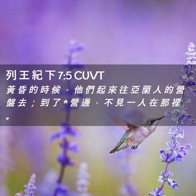 Picture 02 - 列 王 紀 下 7:5 CUVT - 黃 昏 的 時 候 ， 他 們 起 來 往 亞 - Bible Verse Picture