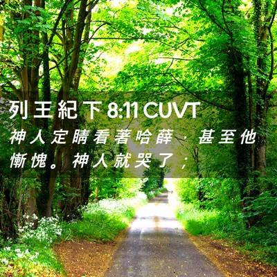 Picture 02 - 列 王 紀 下 8:11 CUVT - 神 人 定 睛 看 著 哈 薛 ， 甚 至 他 - Bible Verse Picture