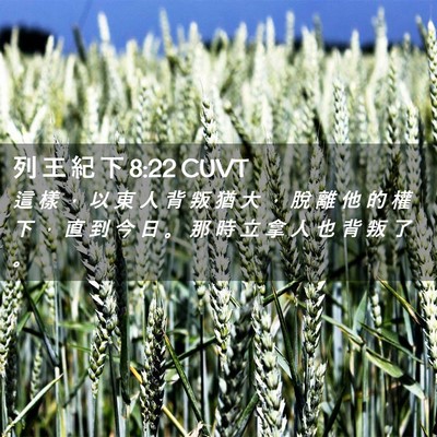 Picture 02 - 列 王 紀 下 8:22 CUVT - 這 樣 ， 以 東 人 背 叛 猶 大 ， 脫 - Bible Verse Picture