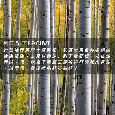 Picture 02 - 列 王 紀 下 8:9 CUVT - 於 是 哈 薛 用 四 十 個 駱 駝 ， 馱 - Bible Verse Picture