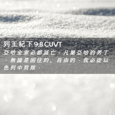 Picture 02 - 列 王 紀 下 9:8 CUVT - 亞 哈 全 家 必 都 滅 亡 ， 凡 屬 亞 - Bible Verse Picture