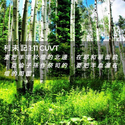 Picture 02 - 利 未 記 1:11 CUVT - 要 把 羊 宰 於 壇 的 北 邊 ， 在 耶 - Bible Verse Picture