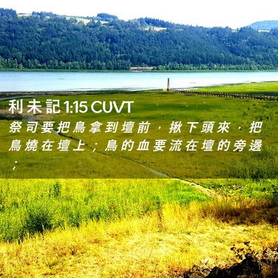 Picture 02 - 利 未 記 1:15 CUVT - 祭 司 要 把 鳥 拿 到 壇 前 ， 揪 下 - Bible Verse Picture