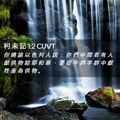 Picture 02 - 利 未 記 1:2 CUVT - 你 曉 諭 以 色 列 人 說 ： 你 們 中 - Bible Verse Picture