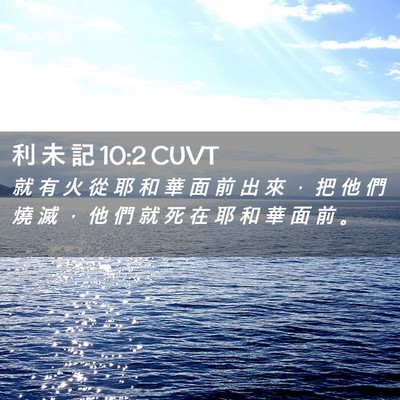 Picture 02 - 利 未 記 10:2 CUVT - 就 有 火 從 耶 和 華 面 前 出 來 ， - Bible Verse Picture
