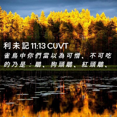 Picture 02 - 利 未 記 11:13 CUVT - 雀 鳥 中 你 們 當 以 為 可 憎 、 不 - Bible Verse Picture