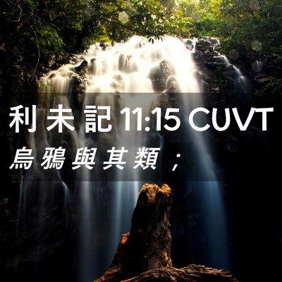 Picture 02 - 利 未 記 11:15 CUVT - 烏 鴉 與 其 類 - Bible Verse Picture