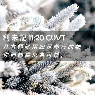 Picture 02 - 利 未 記 11:20 CUVT - 凡 有 翅 膀 用 四 足 爬 行 的 物 ， - Bible Verse Picture