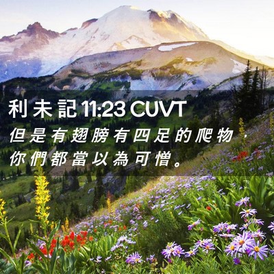 Picture 02 - 利 未 記 11:23 CUVT - 但 是 有 翅 膀 有 四 足 的 爬 物 ， - Bible Verse Picture