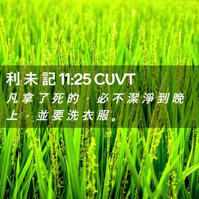 Picture 02 - 利 未 記 11:25 CUVT - 凡 拿 了 死 的 ， 必 不 潔 淨 到 晚 - Bible Verse Picture