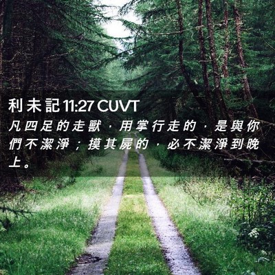 Picture 02 - 利 未 記 11:27 CUVT - 凡 四 足 的 走 獸 ， 用 掌 行 走 的 - Bible Verse Picture