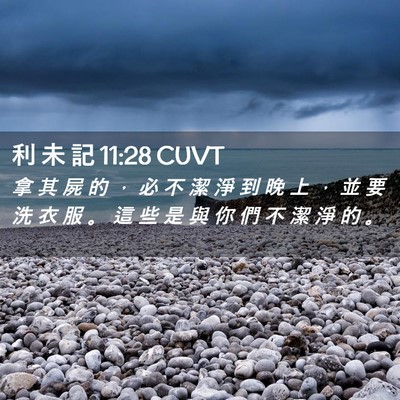 Picture 02 - 利 未 記 11:28 CUVT - 拿 其 屍 的 ， 必 不 潔 淨 到 晚 上 - Bible Verse Picture