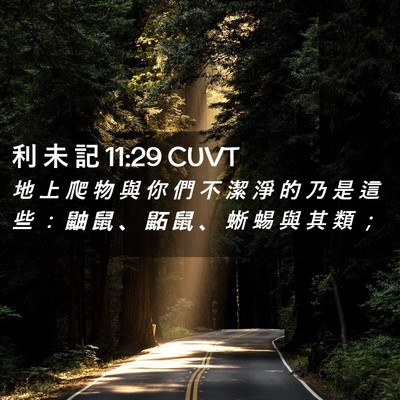 Picture 02 - 利 未 記 11:29 CUVT - 地 上 爬 物 與 你 們 不 潔 淨 的 乃 - Bible Verse Picture