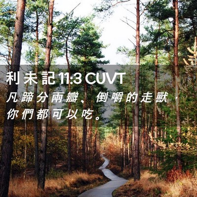 Picture 02 - 利 未 記 11:3 CUVT - 凡 蹄 分 兩 瓣 、 倒 嚼 的 走 獸 ， - Bible Verse Picture